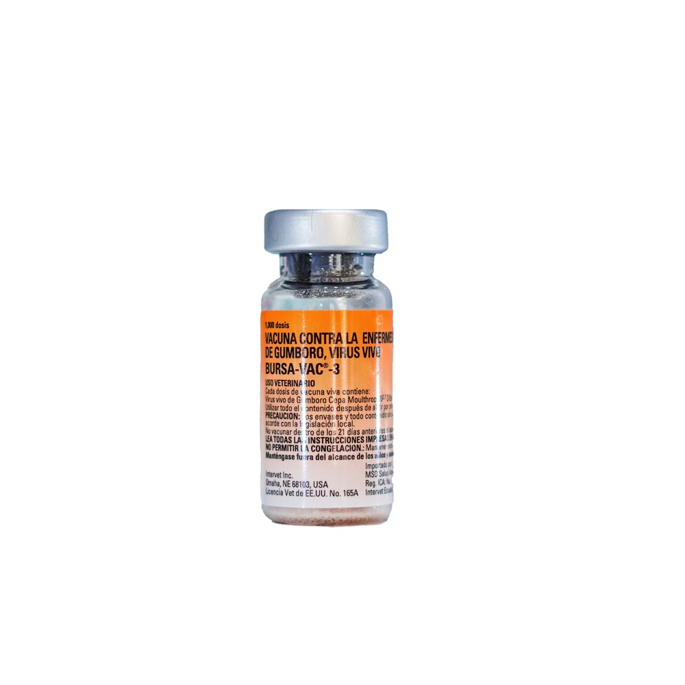 BURSAVAC 3