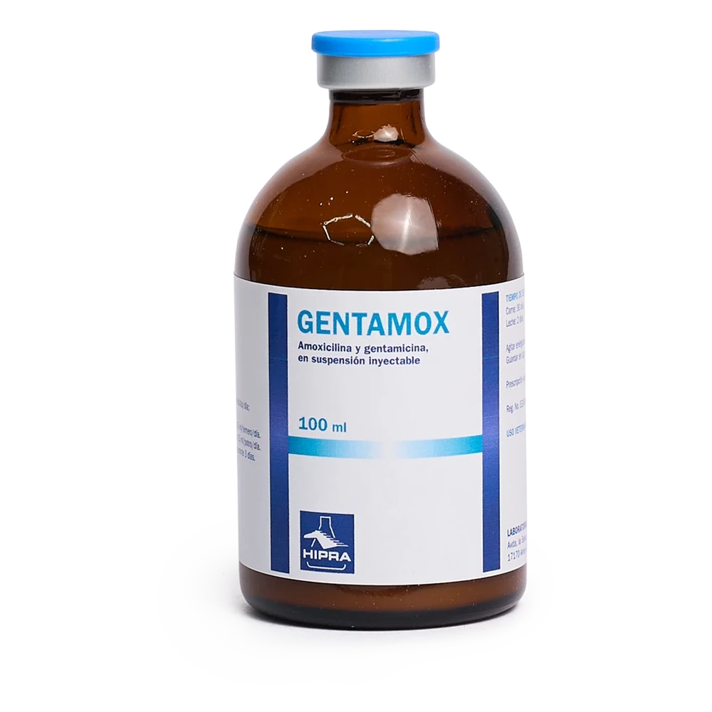 Gentamox  100ml