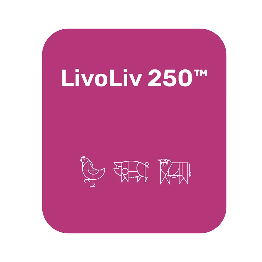 Livoliv kg