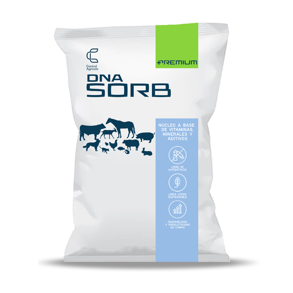 DNA Sorb
