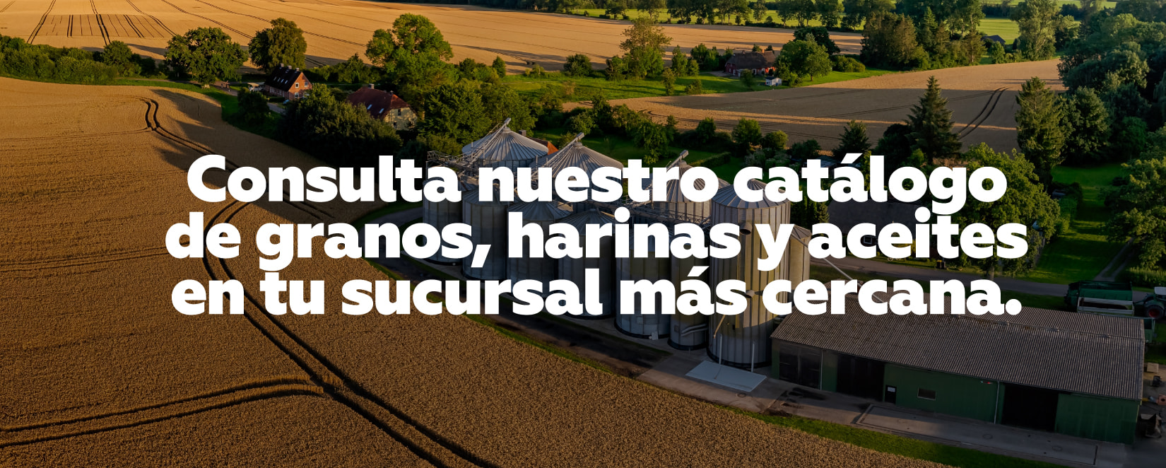 granos, harinas y aceites