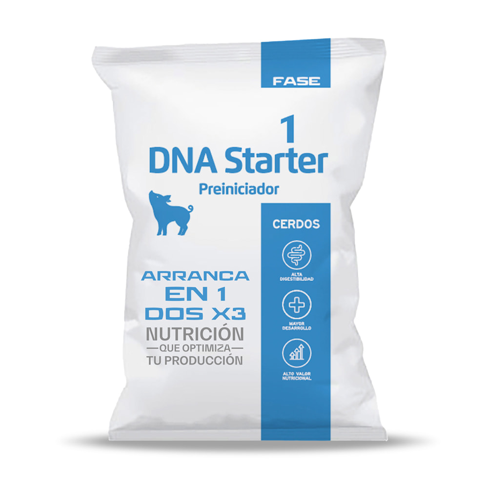 DNA Starter Fase 1, Inicio