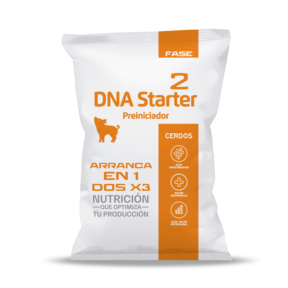 DNA Starter Fase 2, Evolución