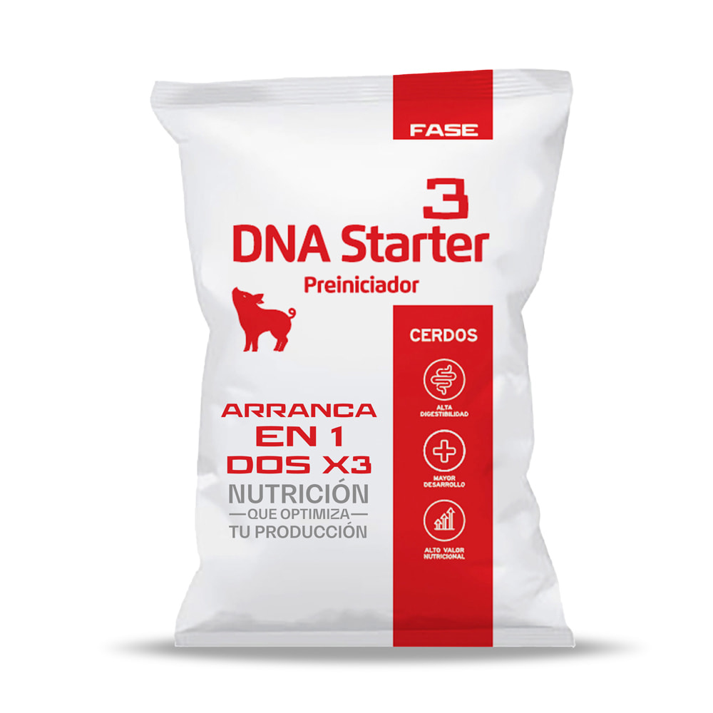 DNA Starter Fase 3, Crecimiento